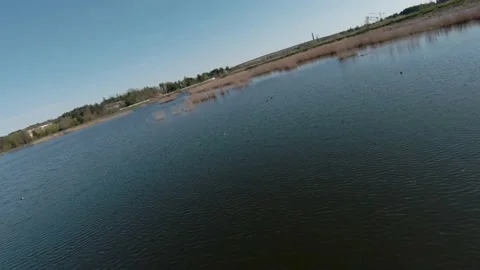 Fast and maneuverable flight over the lake with reeds. Filmed on FPV drone Stock Footage 154260033