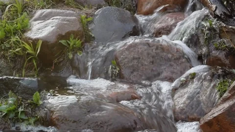 Fast and noisy stream flowing over the stones in the park Stock Footage 158060287
