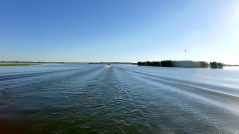 Fast boat on Danube Delta Stock Footage 80280694