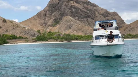 Fast boat in pink beach Video stock 280887151