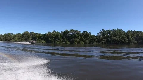 Fast Boat Ride Passing Lush Mangrove Forests Brazil Stock Footage 327625580