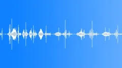 Fast book viewing Sound Effect
