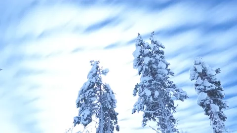 Fast Bright Moon Timelapse in Arctic Lapland Winter with Pines Stock Footage 234870372