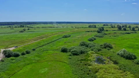 Fast buggy is going with big clouds of dust. Stock Footage 305828301