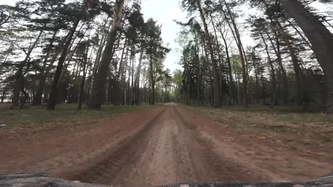 Fast buggy ride over rough terrain. Hiking trip Stock Footage 274503358