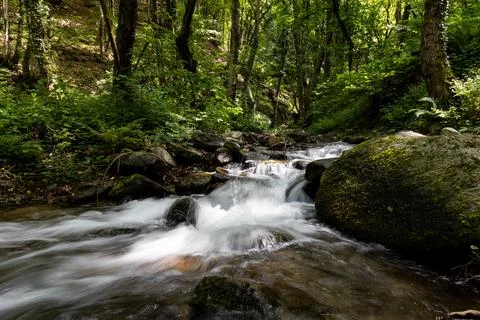 Fast, cascading, mountain spring with trees and green bushes in the background Stock Photos