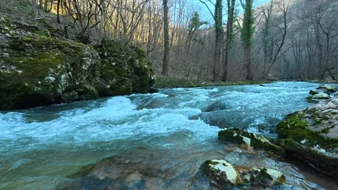 Fast, clear river rushes over mossy rocks. Mount Ozren Видео 330951933