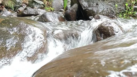 Fast Clear Stream Flowing Over Rocks in Forest – Fresh Natural Water Stock Footage 330548149