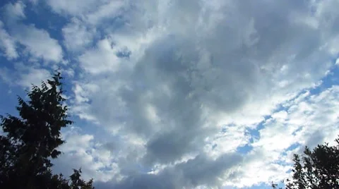 Fast Clouds and Trees Time Lapse Stock Footage 8795637