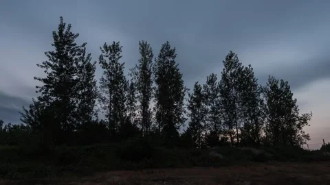 Fast Clouds Moving Over Green Forest Canopy Landscape Time-lapse Stock Footage 326705905