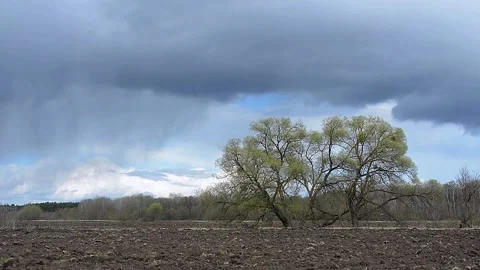 Fast clouds. Nature of Ukraine. Video stock 152985680