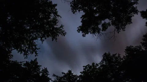 Fast clouds at night through trees Stock Footage 40426299