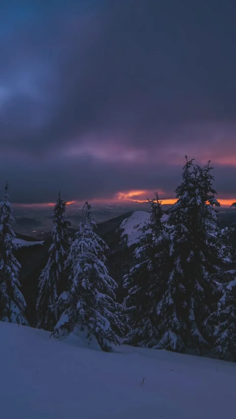 Fast Clouds Over Winter Forest Before Sunrise Vertical Time Lapse Stock Footage 313484472