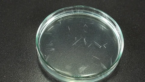 Fast crystallization Stock Footage 71549338