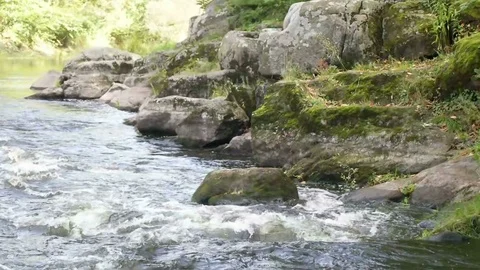 Fast current on the river Stock Footage 80597316