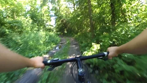 Fast cycling through the forest in the summer afternoon Stock Footage