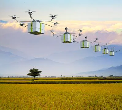 Fast delivery post package Stock Illustration