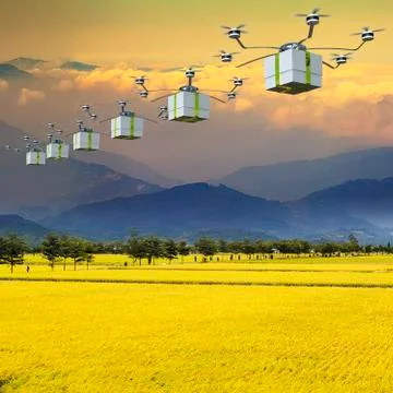 Fast delivery post package Illustrazione stock