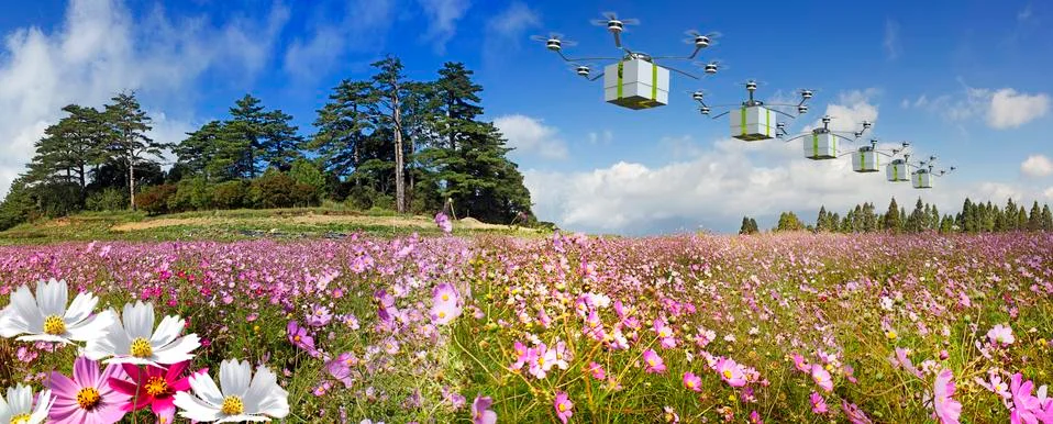 Fast delivery post package Illustrazione stock