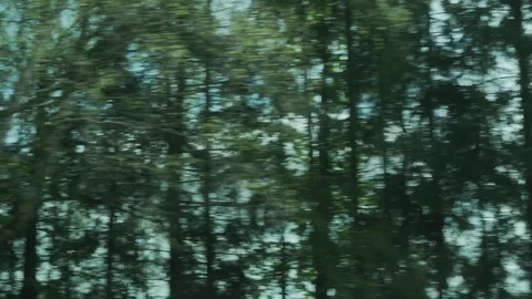 Fast Drive Past Trees – Side Window View from the Road Stock Footage 308396537