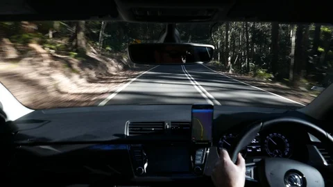 Fast drive through forest interior car view Stock Footage 92448241