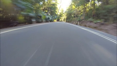 Fast drive through forest road low angle bumper view Stock Footage 92350568