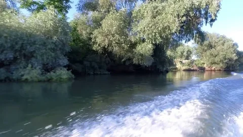 Fast driving boat in Danube Delta Stock Footage 80632628