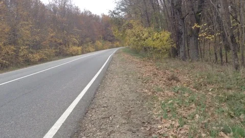 Fast driving. Forest Road. Stock Footage 101309386
