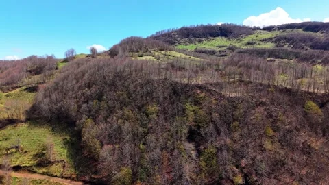 Fast Drone Ascent From Blue Lake to Dramatic Cloudscape in 4K Stock Footage 339067386