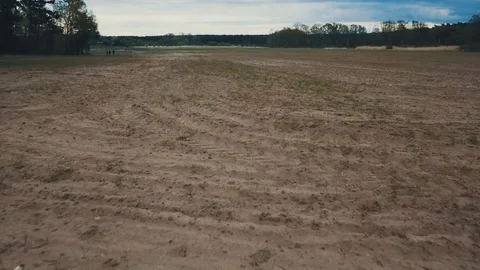 Fast drone flight low over the field and ground 動画素材 129451150