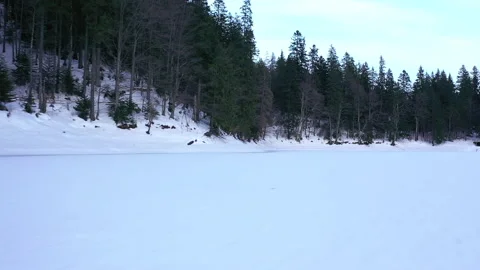 Fast drone flight over lake Synevir at Carpathian mountains, ukraine Stock Footage 130349744