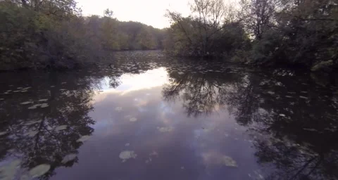 Fast drone flight over lillypads sunrise Stock-Footage 55301592