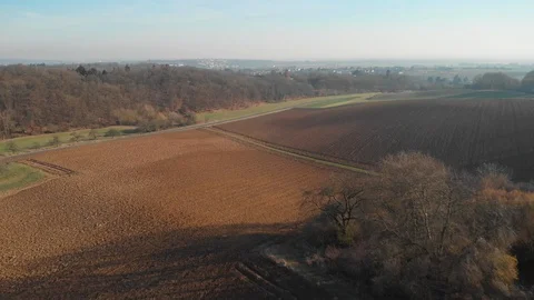 Fast Drone flight over trees to wide field Stock Footage 103188266