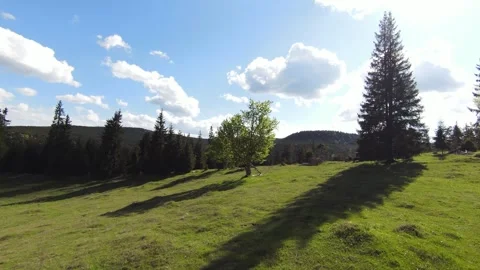 Fast drone flight over vast forest and green mountain landscape Stock Footage 275757006