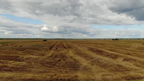 Fast drone flight rising above harvested field Stock Footage 326555686