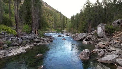 Fast Drone Over Winding River Washington State Pacific Northwest Forest. Be.. Stock Footage 345276798