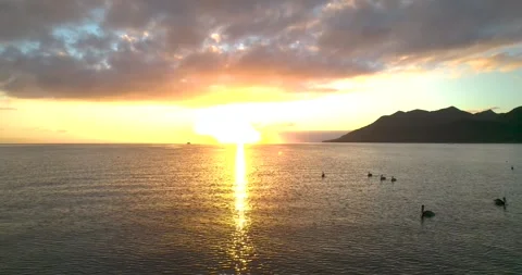 Fast drone shot of ocean beams at sunrise in Magdalena Bay Mexico with birds Stock Footage 334638567