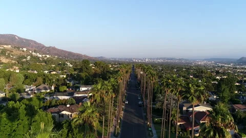 Fast drone shot over tall palm trees in California Vidéo 138076469