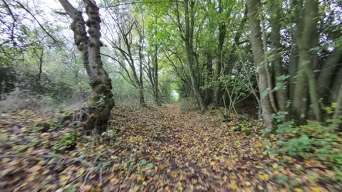 Fast drone through woodland footpath &amp; over footbridge Stock Footage 321307403