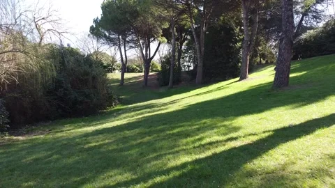 Fast Drone Video over Grass in Park(Forest) Vídeo Stock 150604700