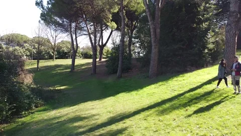 Fast Drone Video over Grass in Park(Forest) Vídeo Stock 151186743
