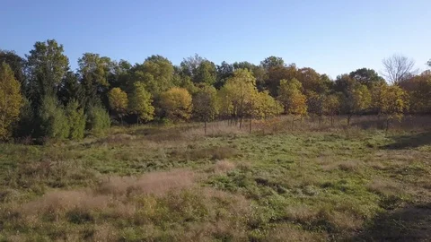 Fast dynamic aerial shot spinning and coming over the tree line in autumn. Stock Footage 101540223