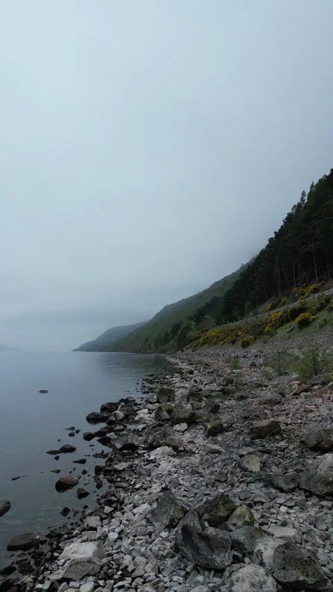 Fast Flight Along Loch Ness Coastline – 4K Portrait Drone Footage Stock Footage 319817636
