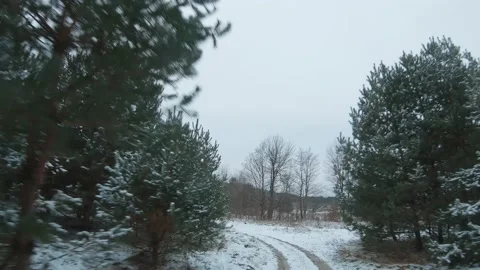 Fast flight along the road surrounded by snow-covered pine trees. Filmed on FPV Stock Footage 147327333
