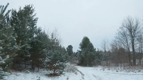Fast flight along the road surrounded by snow-covered pine trees. Filmed on FPV Stock Footage 149121205