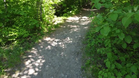 Fast Flight on a Forest Path in Montmorency Park, Quebec City Stock Footage 158335130
