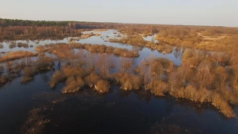 Fast flight helicopter moving low above water surface at European swamp  Stock Footage 96236693