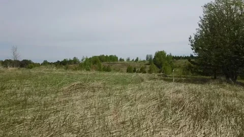 Fast flight low above the ground. View of hills and trees. No one around, sunny  Stock Footage 274405083