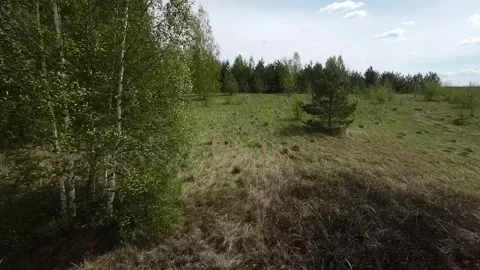 Fast flight low above the ground. View of hills and trees. No one around, sunny  Stock Footage 274405102