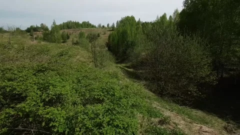 Fast flight low above the ground. View of hills and trees. No one around, sunny  Stock Footage 274405109